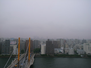 【土砂降りの雨の朝、橋を渡る】